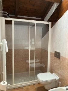 a bathroom with a shower and a toilet at Agriturismo Altana Del Motto Rosso in Gattico