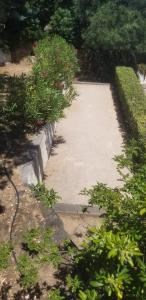 Ogród w obiekcie Villa La Louvière La Croix Valmer Golfe de Saint Tropez