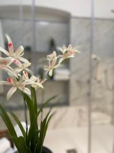 een bos witte bloemen in een vaas bij Happy Family Apartments Cathedral in Genua