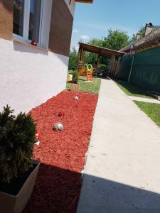 Zahrada ubytování HiT apartmani Pačir
