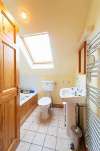 a bathroom with a toilet and a sink and a skylight at Dingle Town Cottage - Tigh Peig in Dingle