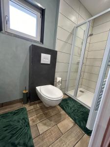 a bathroom with a toilet and a shower at Entre gare et centre-ville in Issoudun +13 photos