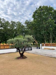 a tree in the middle of a park at Petit paradis in Soustons