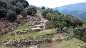 Gallery image of La vigne in Saint-Martin-de-Lansuscle