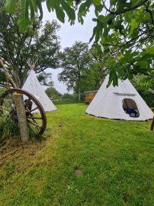 two tents in a field next to a tree at Clos de l'Isop, le village d'hébergements insolites in Saint-Martial-sur-Isop