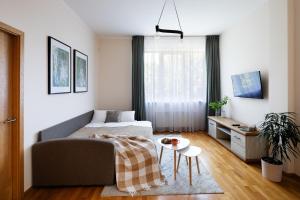 Televiisor ja/või meelelahutuskeskus majutusasutuses One bedroom Sunny Tallinn Street Apartment With Parking