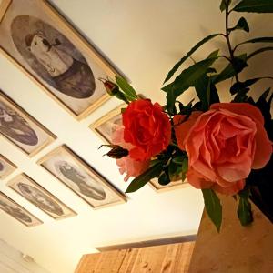 Fotografie z fotogalerie ubytování La Casa d'Atras v destinaci Noyers-sur-Cher