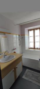 ein Badezimmer mit Waschbecken, Dusche und Spiegel in der Unterkunft Gites de france a tresbos in Laval-Atger