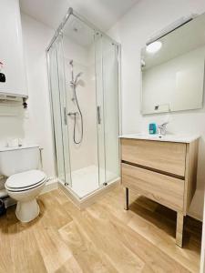 a bathroom with a shower and a toilet and a sink at Studio Cosy centre historique in Laon