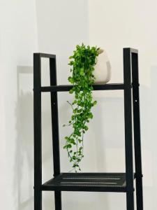 Φωτογραφία από το άλμπουμ του Studio Cosy centre historique σε Laon