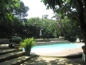 a swimming pool in a yard with trees and stairs at East of Eden in KwaDukuza