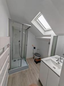 a bathroom with a shower and a sink at Gîte SPA Insolite in Saint-Junien