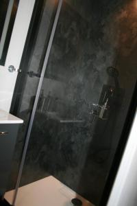 eine Dusche mit Glastür im Badezimmer in der Unterkunft Studio Les Deux Grenouilles 5mn de Colmar in Herrlisheim-près-Colmar