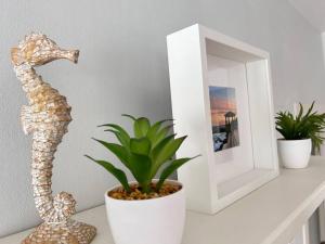 萨卡罗Apartamento En el Port dAro by Host&Joy的相册照片