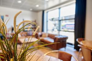 Posezení v ubytování Roskilde Danhostel
