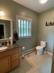 a bathroom with a toilet and a sink and a window at The Snowed Inn in Killington +109 photos