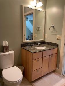a bathroom with a toilet and a sink and a mirror at The Snowed Inn in Killington +127 photos