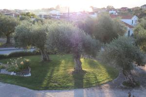 Zahrada ubytování Quarto dos Delgados - Orca, Castelo Branco