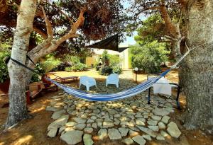 Zahrada ubytování Villa Punta Lunga