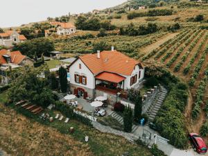 Príroda v okolí vily