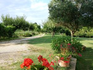 a garden with red flowers in pots on the grass at Il mulino di Augusto e Marianna in Corinaldo