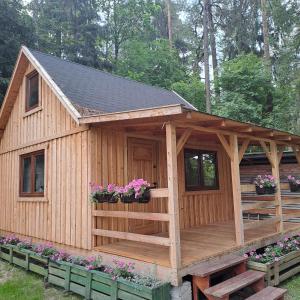 a wooden cabin with potted plants on a deck at Domek nad Kanałem Augustowskim Stanica Wodna PTTK Płaska in Płaska