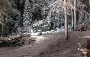 un sendero cubierto de nieve en un bosque con árboles en Cozy Apartment In Crinitzbergbärenwalde, en Bärenwalde 3 fotos más