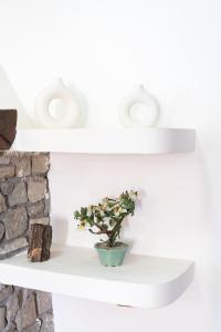 a plant sitting on a white shelf next to a wall at Villa del Pino, Terrazza vista Mare in Minturno
