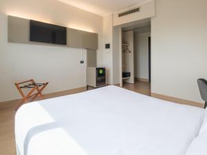 TV a/nebo společenská místnost v ubytování B&B Hotel Faenza