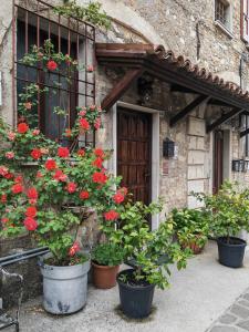 Zahrada ubytování B&B LaMaGia di Corte Moronati