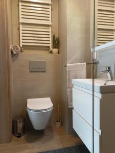 a bathroom with a toilet and a sink at Willa na Orlej in Giewartów +44 photos