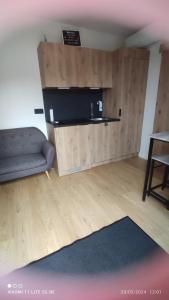 a living room with a couch and a television at Studio Smarty in Parigné-lʼÉvêque +6 photos