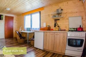 a kitchen with a stove and a sink at Ambasadorówka in Solina