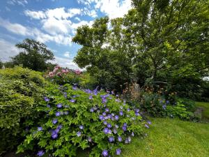 Gallery image of Huntleys Lodge in Ticehurst