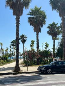 a car parked on a street with palm trees at Gold Vollga House Durres in Durrës