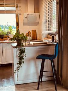 a kitchen with a counter and a blue stool at Żuławska Osada in Trutnowy