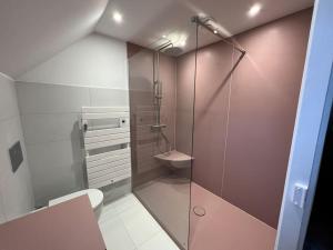 un bagno con doccia in vetro e WC di Villa Portillon - charming fountain garden villa a Luchon