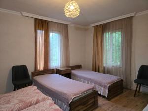 a bedroom with two beds and a chandelier and windows at Tvaliakari in Khulo