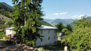 a white house with trees and mountains in the background at Tvaliakari in Khulo
