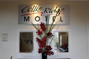 a vase with red flowers in front of a sign at Collie Ridge Resort in Collie