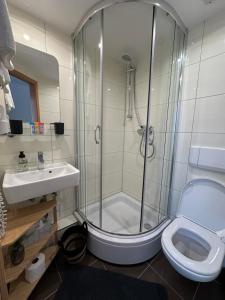 a bathroom with a shower and a toilet and a sink at Hotel Restaurant Haus Odendahl in Cologne
