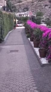 Zdjęcie z galerii obiektu Villa Victoria, Taormina w Taominie