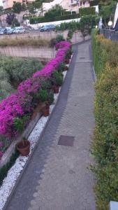 Ogród w obiekcie Villa Victoria, Taormina