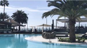 a swimming pool with palm trees in a resort at Beachfront Patalavaca in Patalavaca
