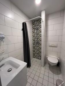a bathroom with a toilet and a shower and a sink at Strandhotel de Logerij in Renesse