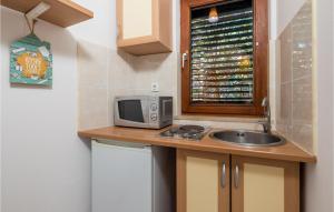 Kuchyňa alebo kuchynka v ubytovaní Cozy Apartment In Lukovo Sugarje