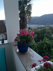 Fotografie z fotogalerie ubytování Villa Magnifica v destinaci Mostar