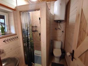 a small bathroom with a toilet and a sink at Dom Nad Stawem Krawno in Piecki +10 photos