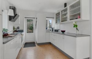 Η κουζίνα ή μικρή κουζίνα στο Beautiful Home In Højby With Wifi