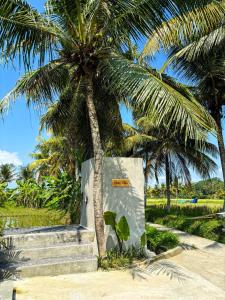 a palm tree is standing next to a building at Obah Villa Ubud 1 Br Brand new private villa in Ubud
